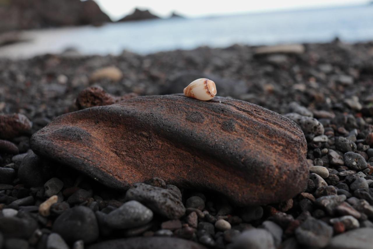 Lajes das FloresCasa L&Mアパートメント エクステリア 写真