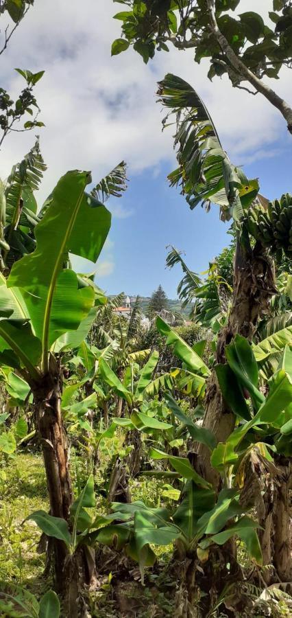 Lajes das FloresCasa L&Mアパートメント エクステリア 写真